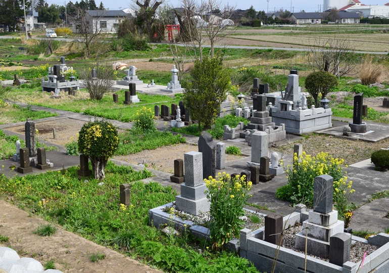 地方にある整備されていない霊園