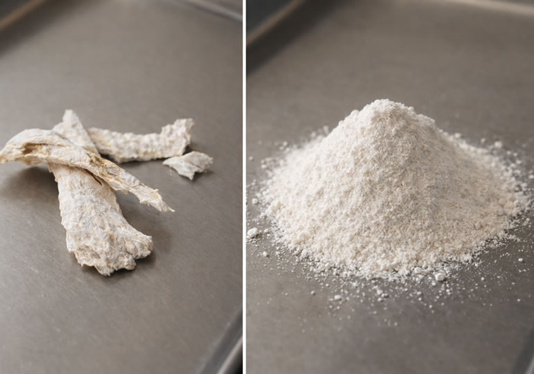 遺骨と粉骨されたパウダーの遺骨