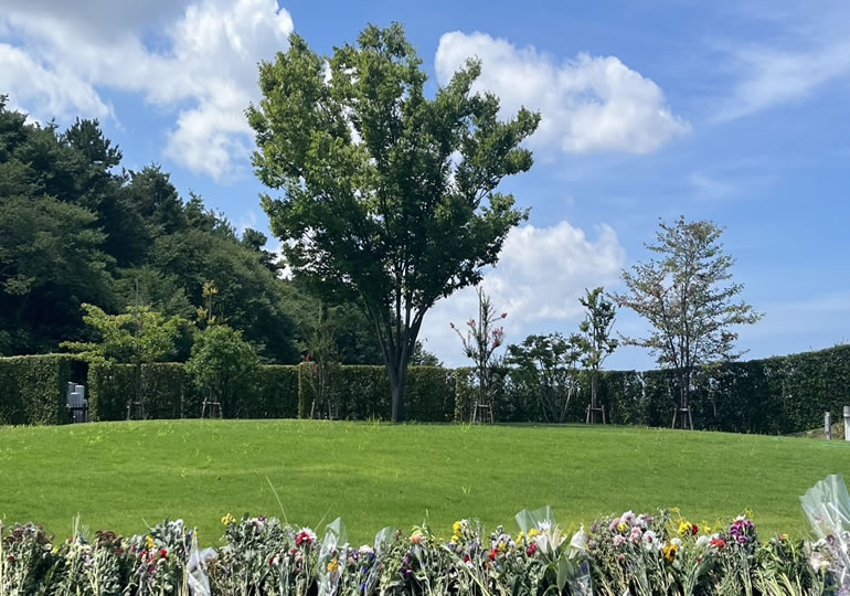 献花をお供えした樹木葬