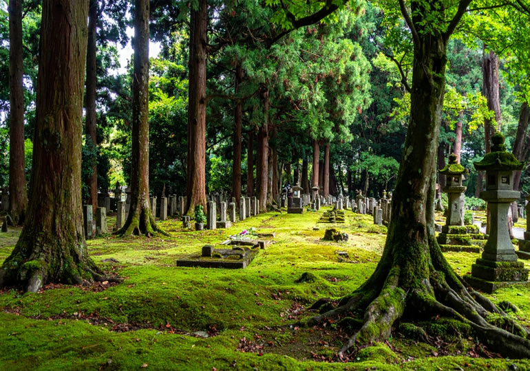 霊園の隅にある樹木葬