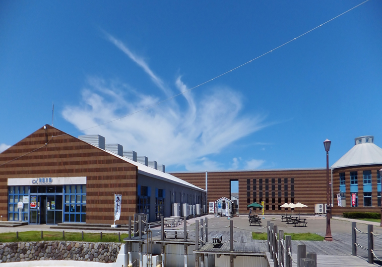 南房総市の海岸と自然豊かな風景