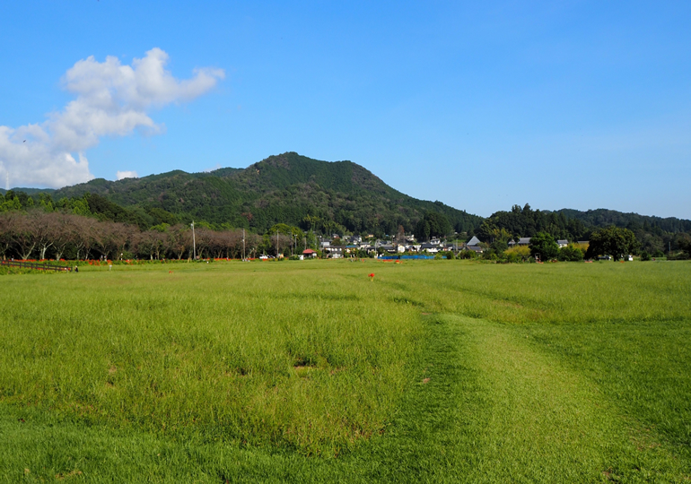 日高市の巾着田と高麗川