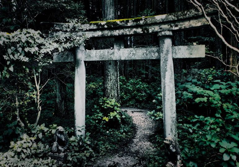 穴守稲荷鳥居伝説と海洋散骨