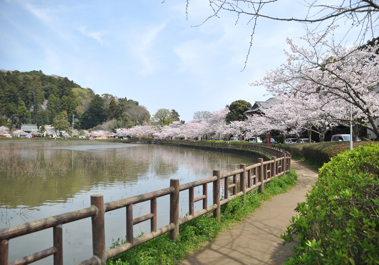東金市の街並み