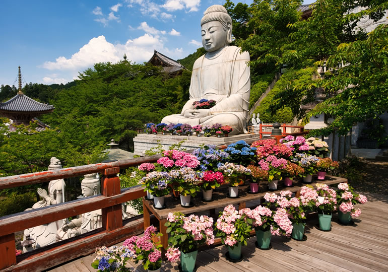 仏像とアジサイの花