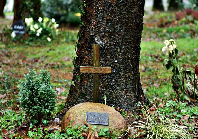 木の根元に闇土葬されたお墓