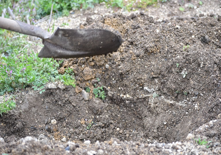 土葬のお墓をスコップで掘り起こす男性
