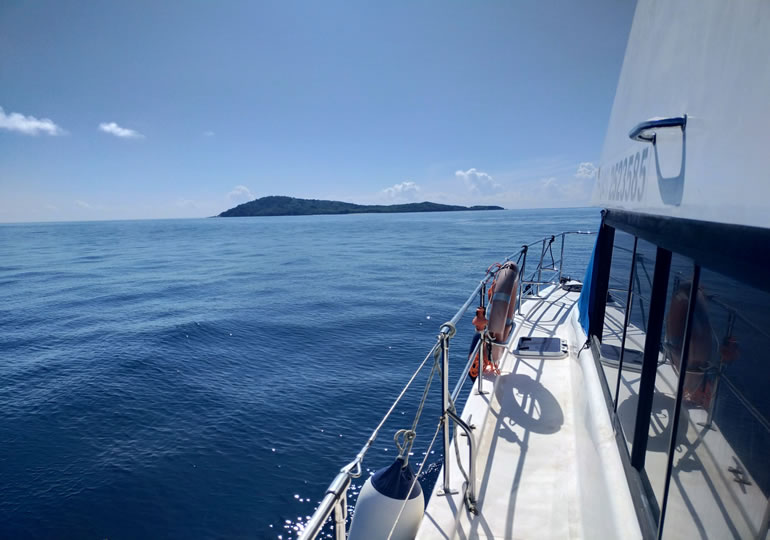 散骨の為に沖合に出る船