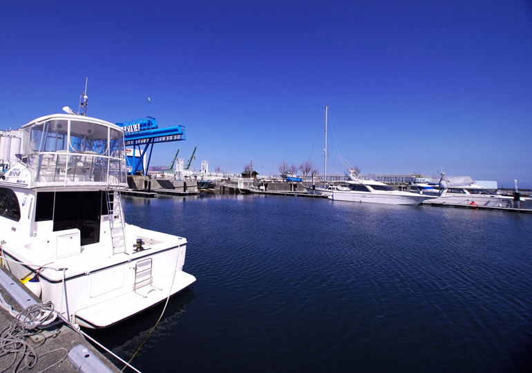 マリーナに停泊している散骨に使うクルーザー