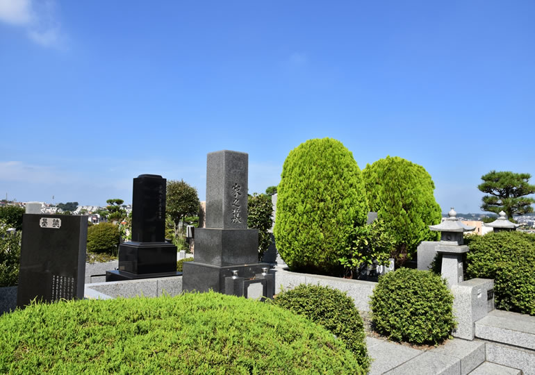 管理されたお墓