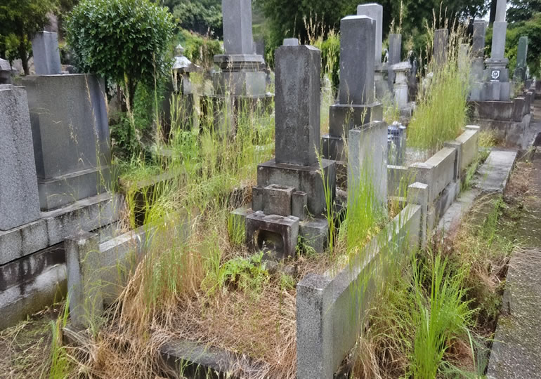 放置されて荒れているお墓