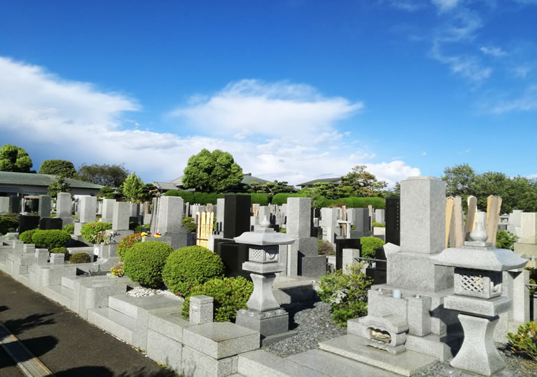 晴天の元に清掃された霊園の墓石