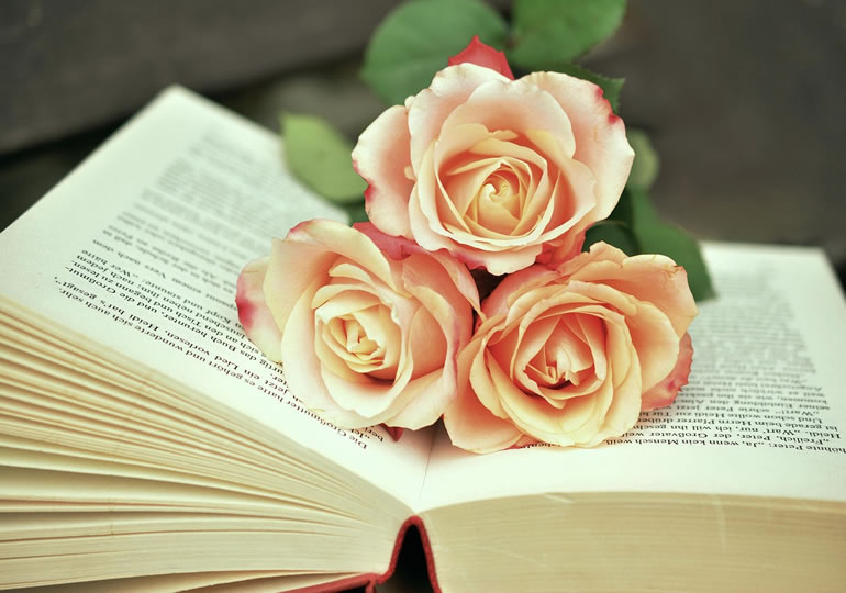 エンディングノートの上に置かれた3本の薔薇の花