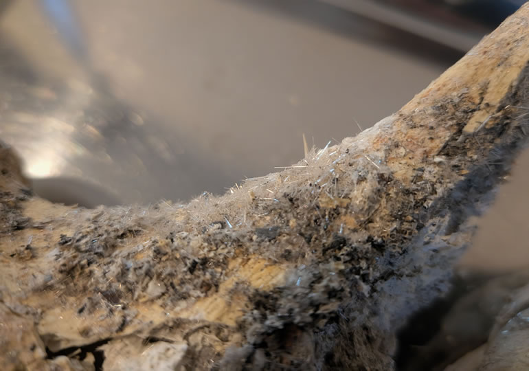 白い結晶が付着した遺骨