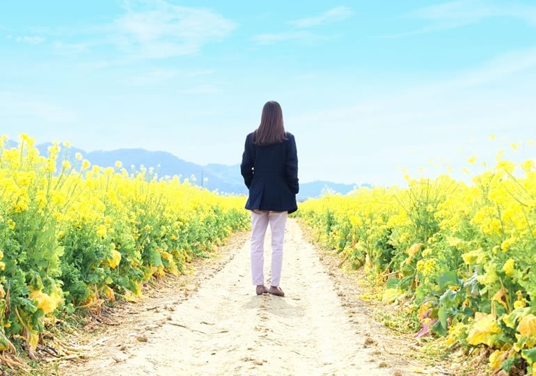 菜の花の畑に佇む女性の後ろ姿
