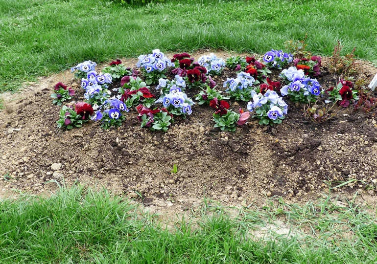 グリーン葬で埋葬されたお墓