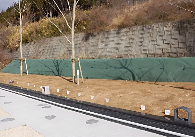 簡易的に作られた都市型樹木葬