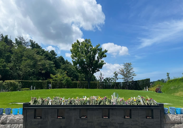 霊園にある樹木葬