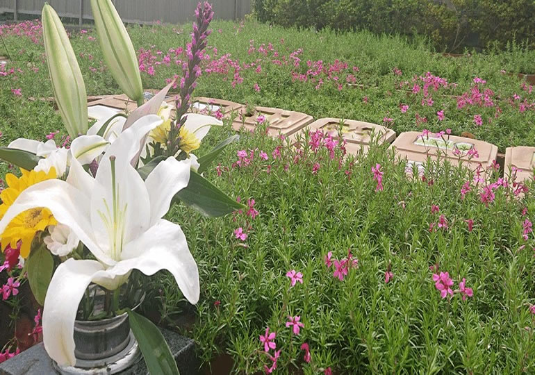 ふるさと納税の返礼品の樹木葬