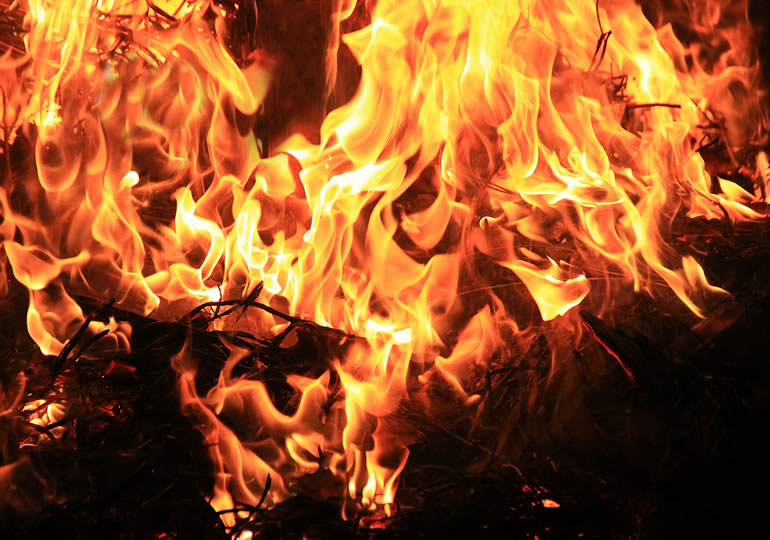 木が燃えている火葬のイメージ画像