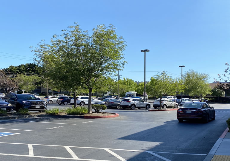 霊園の駐車場に停める参拝者の車