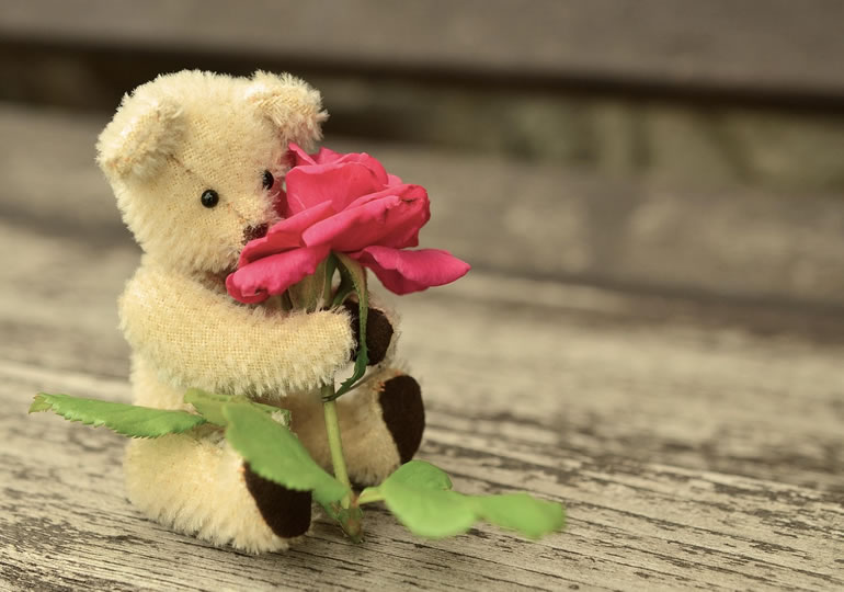 薔薇の花を抱きしめるメモリーベアのぬいぐるみ