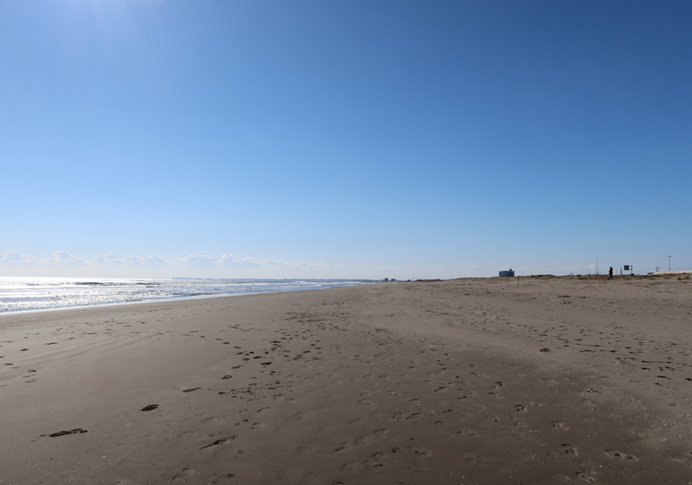 大網白里市の海と自然の風景