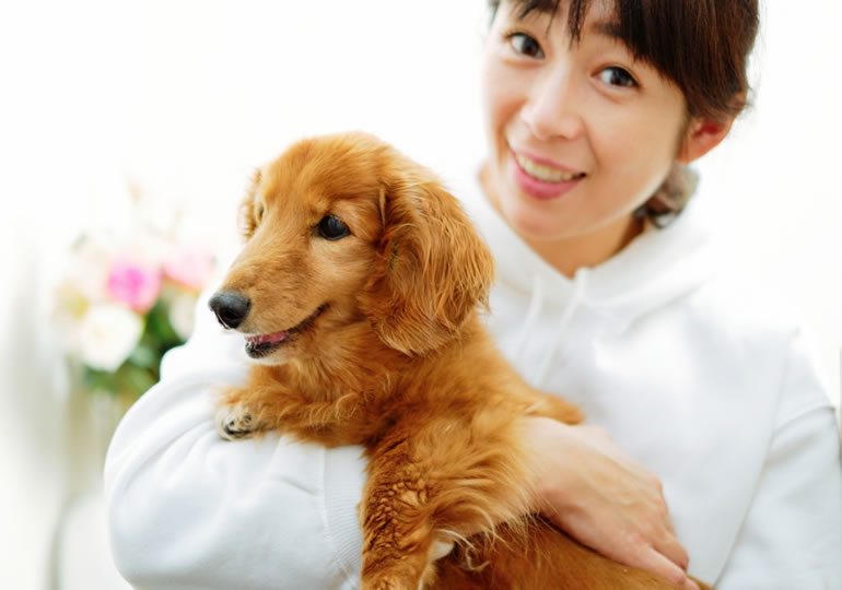 ペットの犬にキスをする女性