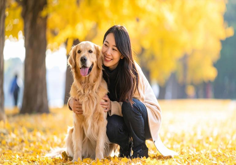 大型犬を散歩している女性