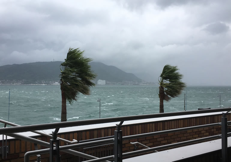 海洋散骨の欠航基準となる強風の海