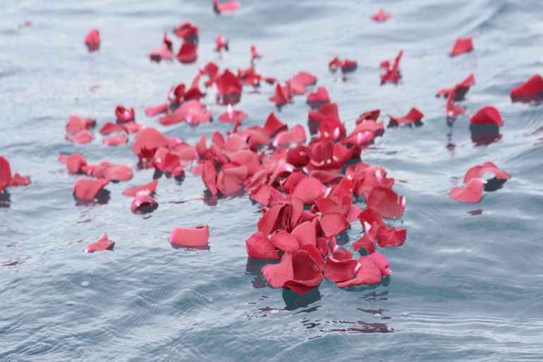 海洋散骨で使った疑似花びら