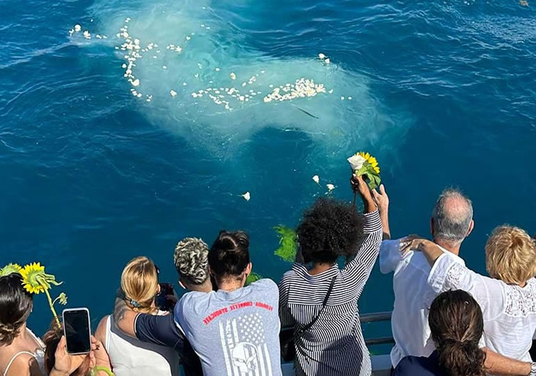 船の上から海洋散骨をする家族の後ろ姿