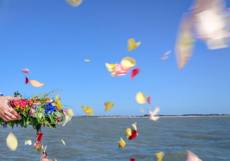 なぜ海洋散骨が注目されているのか？