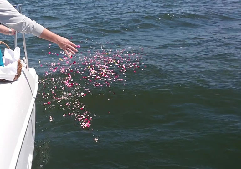 海洋散骨で海に撒かれた花びら