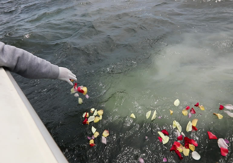 海洋散骨で海に遺灰を撒く男性