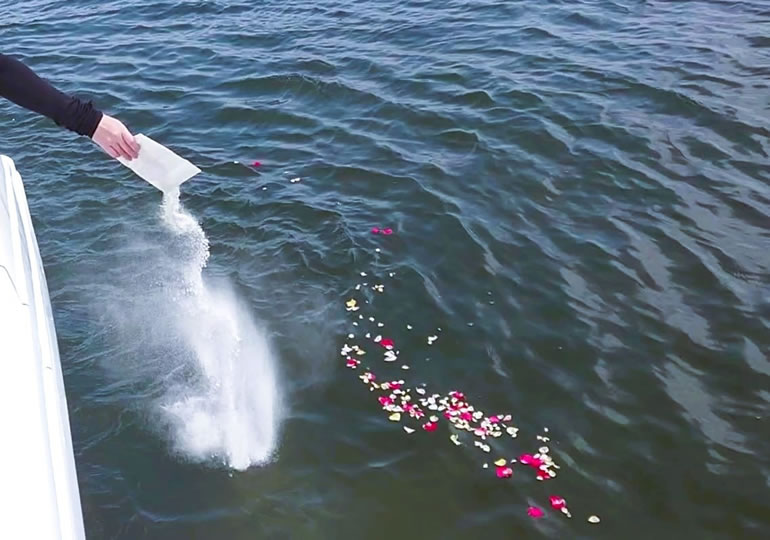 船上から海洋散骨する女性