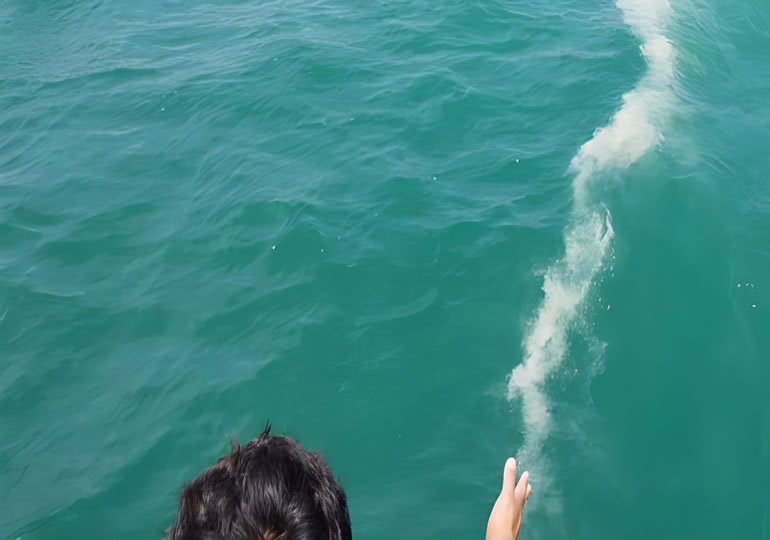 海洋散骨して流れていくパウダーの遺骨