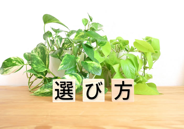 新しい供養のカタチ