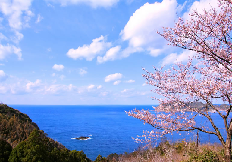 海洋散骨におすすめな春の海