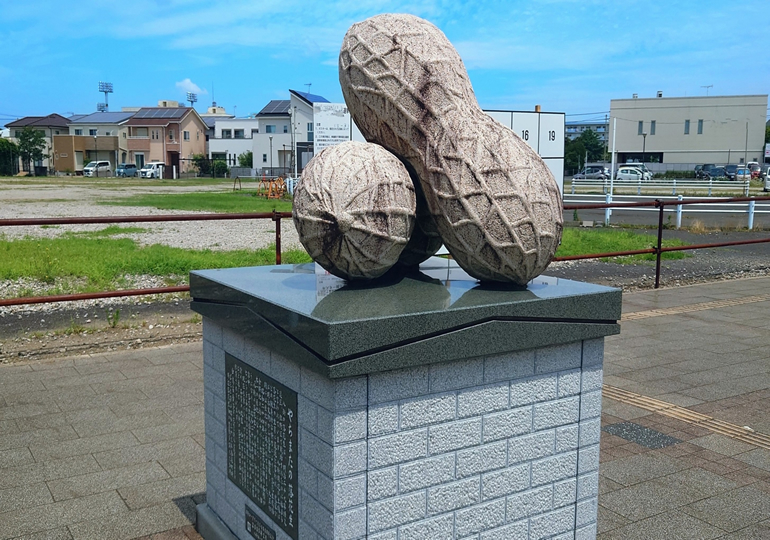 八街市の街並みと田園風景